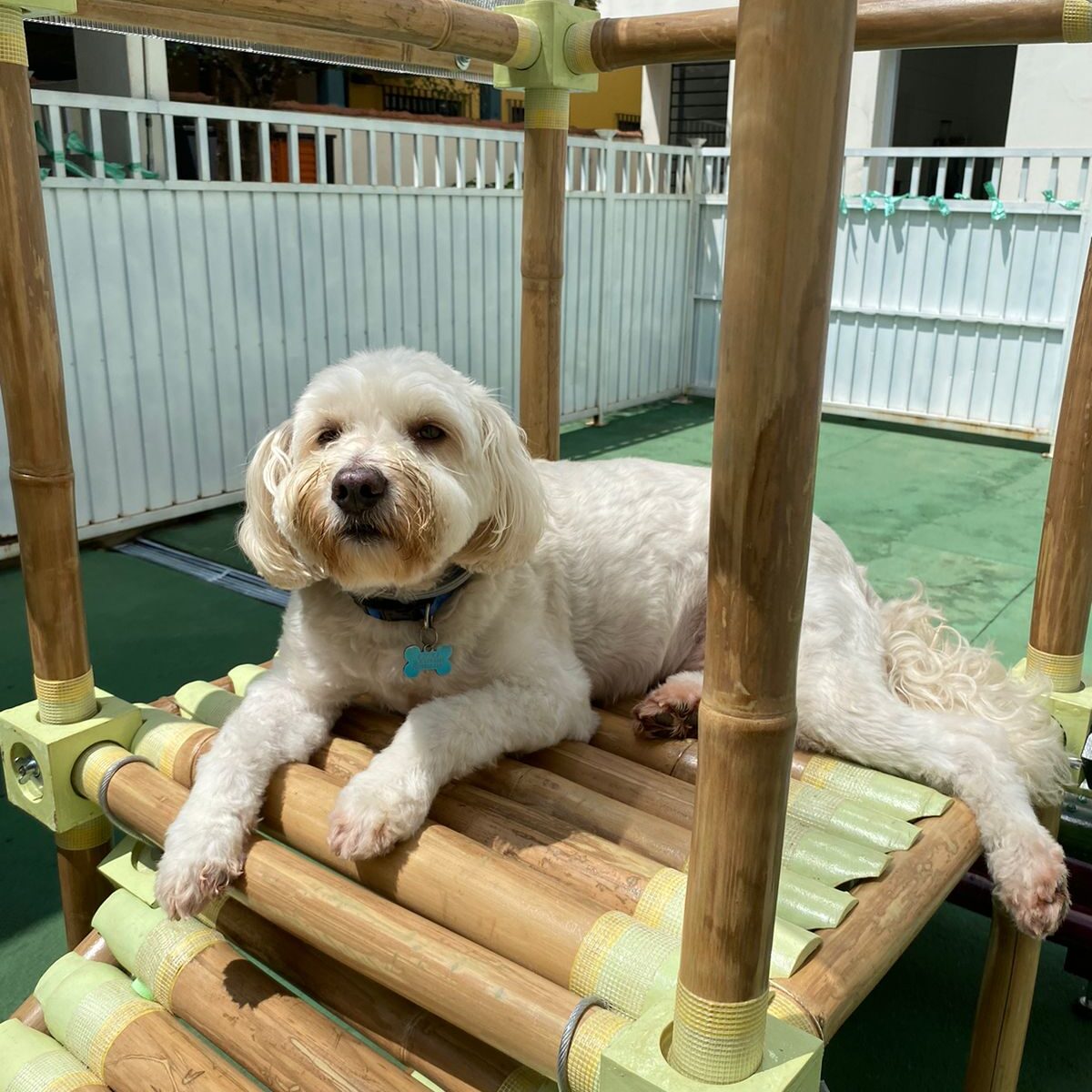 WhatsApp Image 2024-11-05 at 10.20.52 (1)