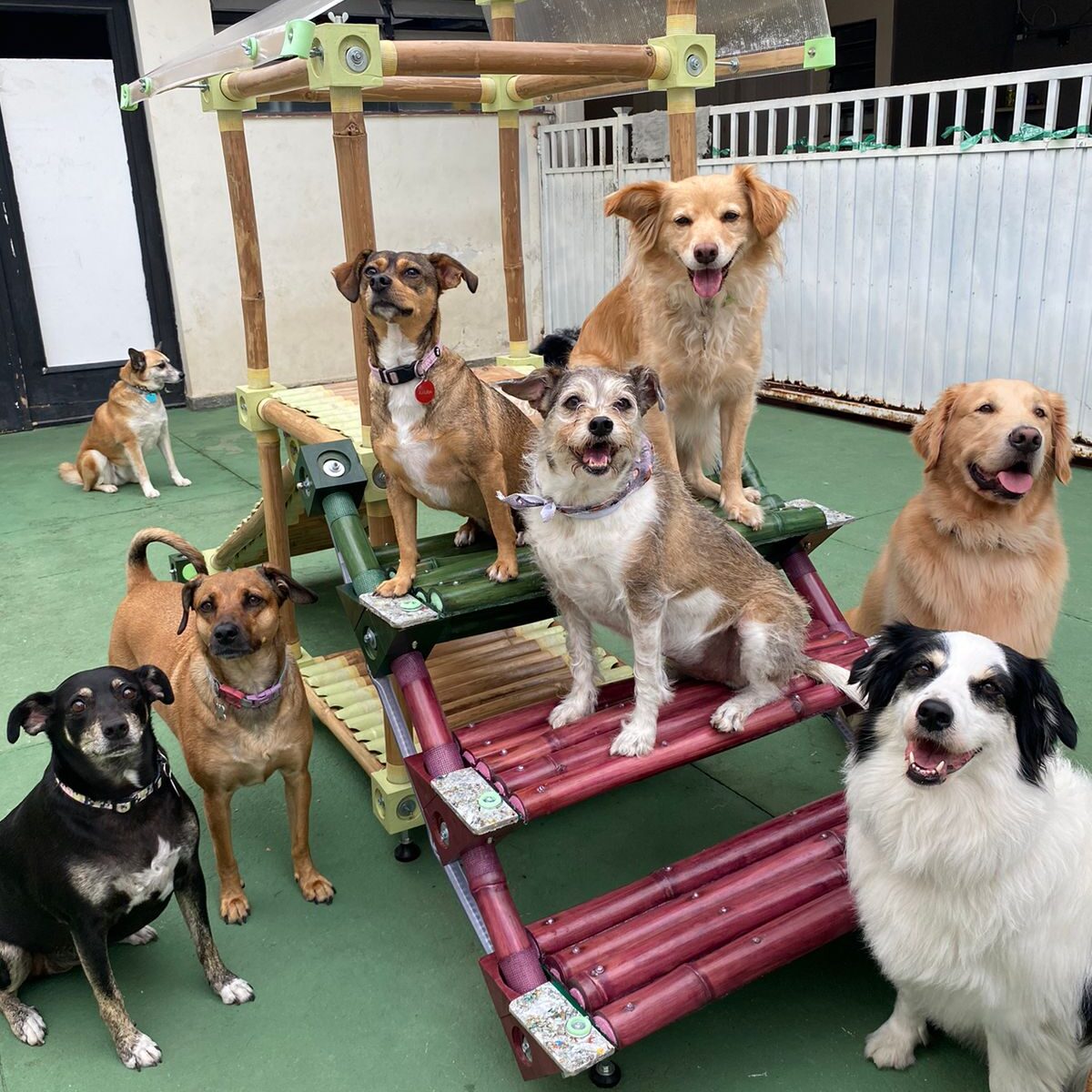 WhatsApp Image 2024-11-06 at 17.49.51