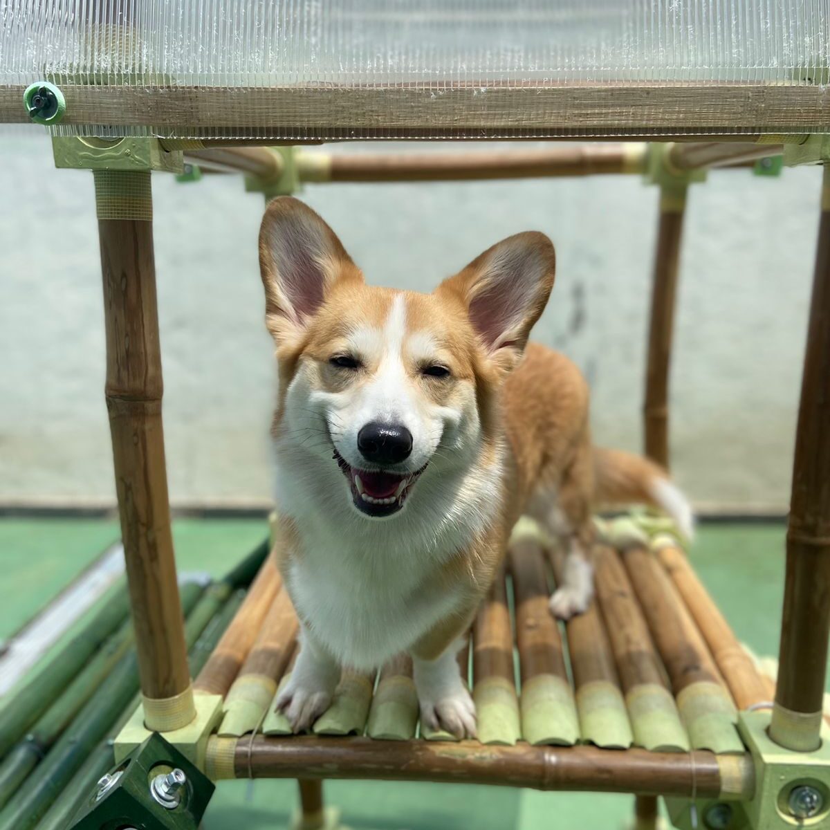 WhatsApp Image 2024-11-12 at 10.44.00